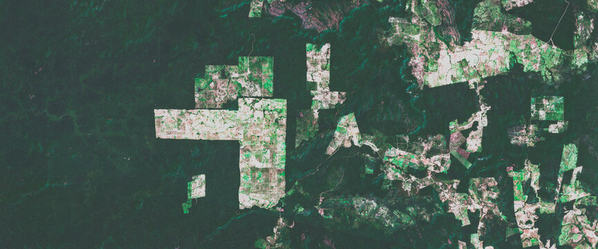 Amazon Rainforest Deforestation on open data Satellite View Brazil