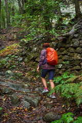 Obraz premium Hiking in the rainy laurisilva forest