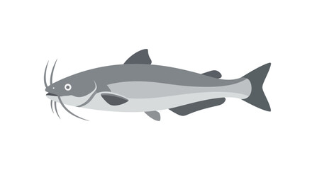 Fototapeta premium Gray Catfish Swimming Sideways.