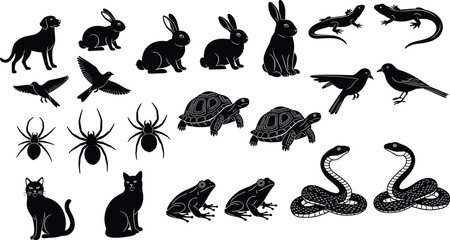 Detailed black and white illustration of tick and flea parasites, showing anatomical differences between arachnid and insect ectoparasites for scientific, educational, and entomology purposes © MostArjuma