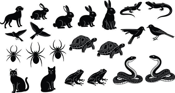 Detailed black and white illustration of tick and flea parasites, showing anatomical differences between arachnid and insect ectoparasites for scientific, educational, and entomology purposes