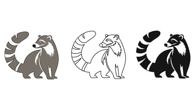 Three stylized illustrations of a coati animal in different color variations.