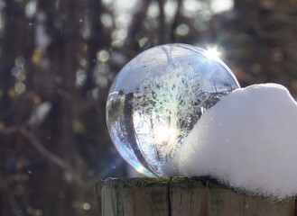 エコイメージ-冬景色とガラスの木2