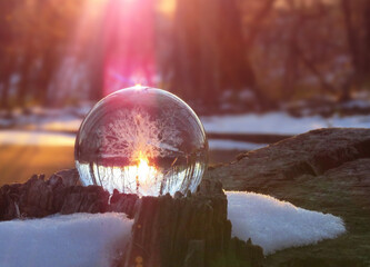 エコイメージ-夕景の冬景色とガラスの木