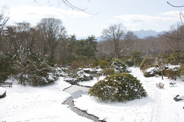 冬の赤城自然園（セゾンガーデン）