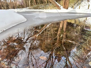 冬の赤城自然園(トンボ池)