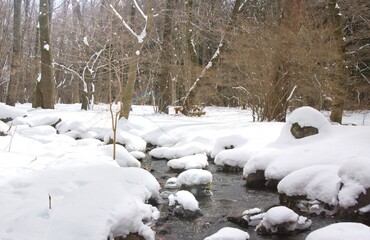 冬の赤城自然園(小川)