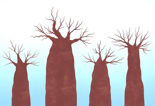 baobabs