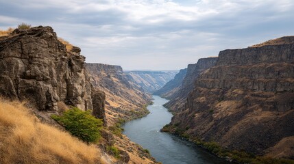 Majestic River Flowing Through Dramatic Canyon with Steep Cliffs and Sparse Vegetation Under Overcast Sky in a Breathtaking Natural Landscape
