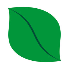 Fototapeta premium Twisted Split Fresh Green Midvein Leaf