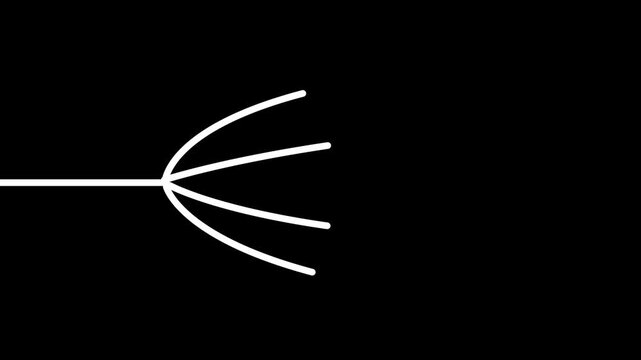 Minimalist white line branching animation on black background. Concept of growth, neural network, logic tree, or distribution.