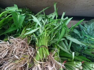 Obraz premium Water spinach that has been tied with string to be sold at the grocery store.