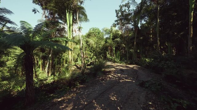 shaded rugged track winding into jungle, rocky soil and tangled roots create challenging footing, steep incline and dense understory evoke adventurous mood