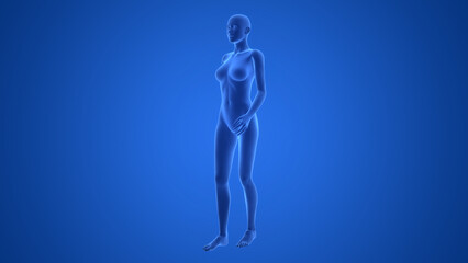 Female Walking Pose Anatomy