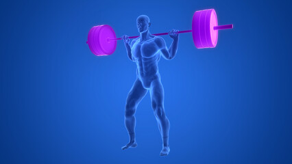 Human Carrying Heavy Barbell with Weights in Squat Exercise Anatomy