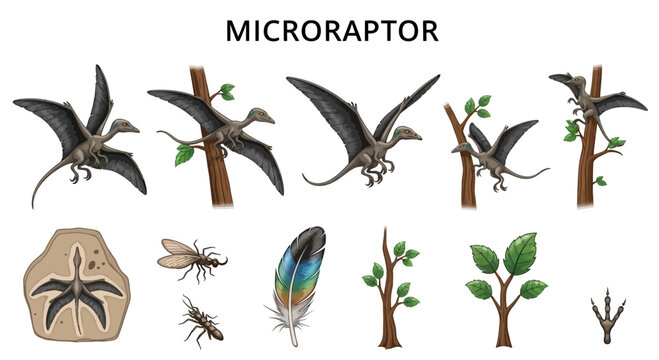 Illustration depicting Microraptor in flight perched fossil feather tracks and associated florafauna
