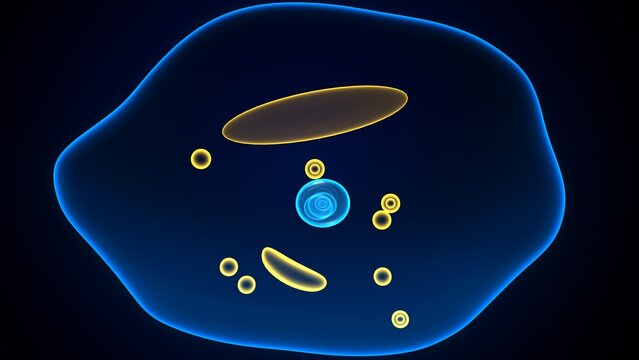 Amoeba structure anatomy. 3d render