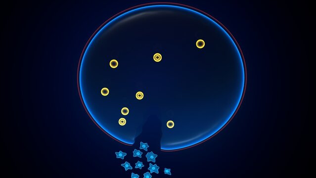 Amoeba structure anatomy. 3d render