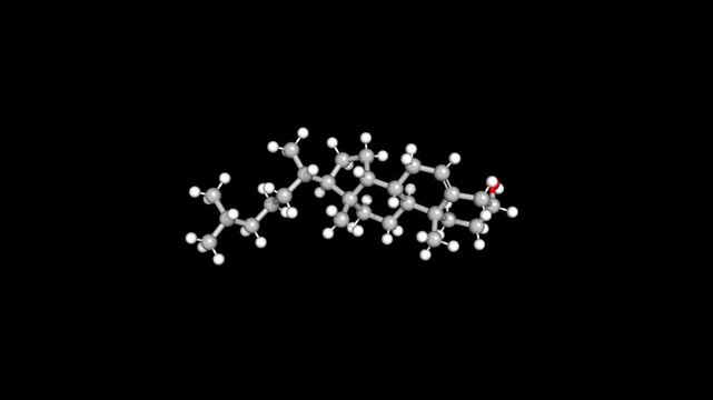 Cholesterol Molecule 3D Model 4K Alpha Loop Chemical Structure