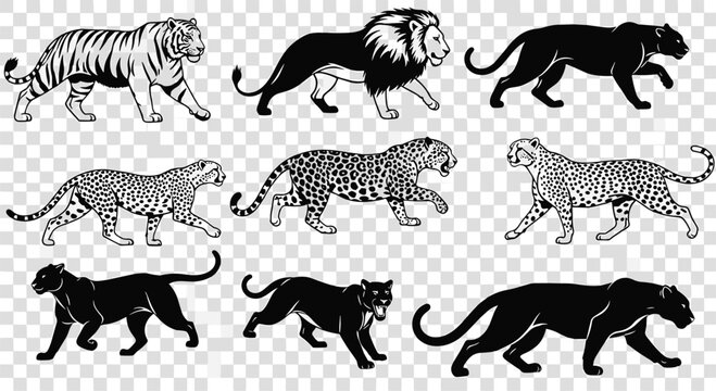 Dynamic big cats silhouette set in action poses vector collection