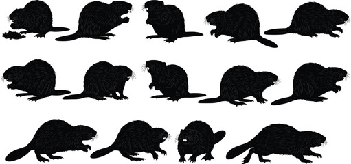 Black Silhouette Set of Wild Beavers in Various Poses Including Swimming Eating and Standing for Wildlife Protection Nature Education and Vector Illustration © Horgobinda
