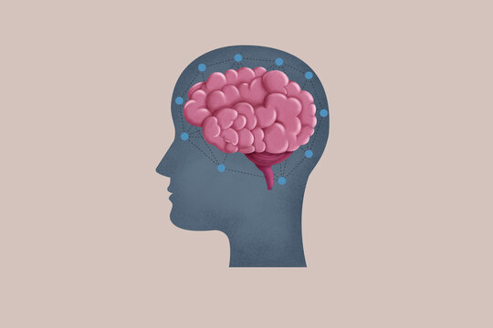 Human brain illustration inside a head silhouette