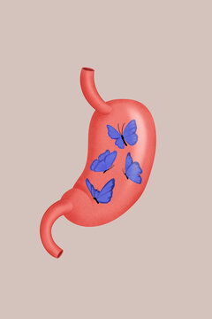 Stomach illustration with butterflies symbolizing emotions