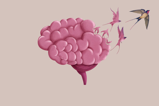 Surreal illustration of a brain with flying birds