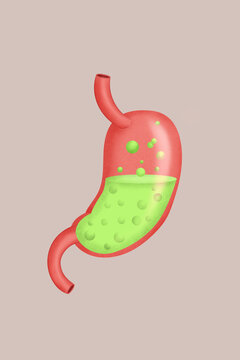 Stomach illustration with gastric juices