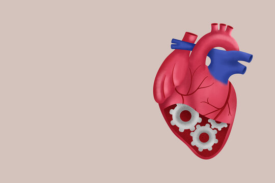 Anatomical heart illustration with mechanical elements