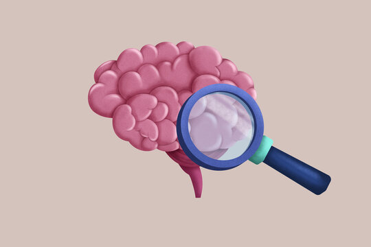 Brain illustration with magnifying glass