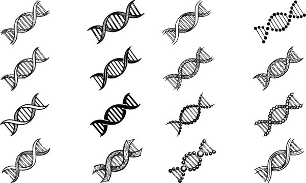 Collection of minimalist DNA double helix icons and vector illustrations featuring various line art styles for genetics biotechnology medical research science and genome sequencing.