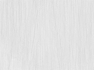 White textured vinyl wallpaper background.