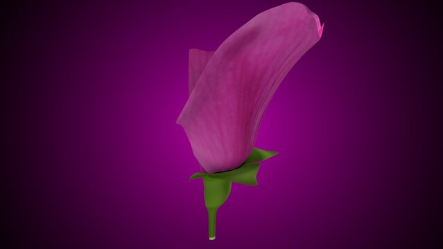 Pisum sativum anatomy with colorful background. 3d render