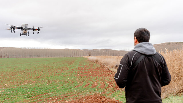 Agricultural drone spraying wheat field