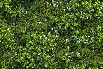 Natural meadow ground cover texture dense grass with tiny white flowers and green leaves creating fresh and vibrant outdoor scene full of life and nature