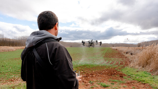 Farmer operating drone spraying liquid fertilizer on wheat