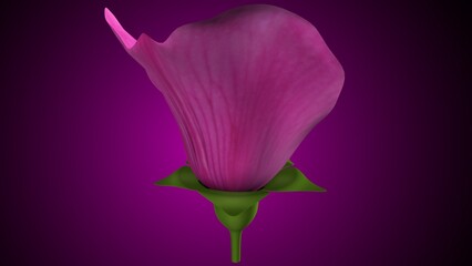 Pisum sativum anatomy with colorful background. 3d render