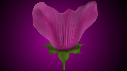 Pisum sativum anatomy with colorful background. 3d render