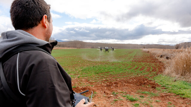 Farmer operating drone spraying liquid fertilizer on wheat