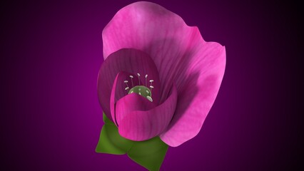 Pisum sativum anatomy with colorful background. 3d render