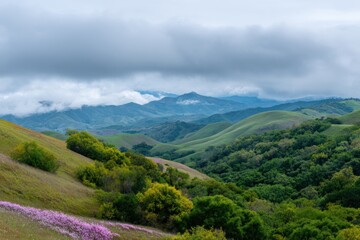 Fototapeta premium Stunning cloudy landscape with rolling hills and vibrant greenery