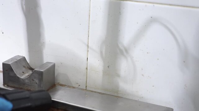 Poor hygiene and pest problem in a neglected commercial kitchen