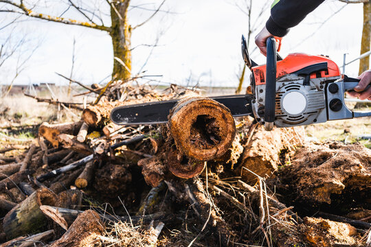 Man cutting tree trunk with chainsaw outdoors
