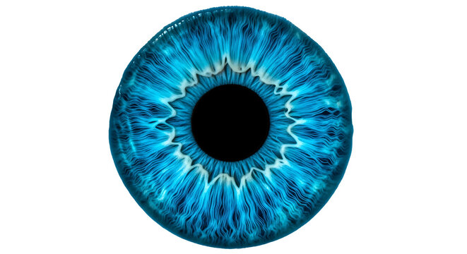 A close-up depiction of a human eye with striking blue iris and intricate patterns PNG isolated on transparent background	