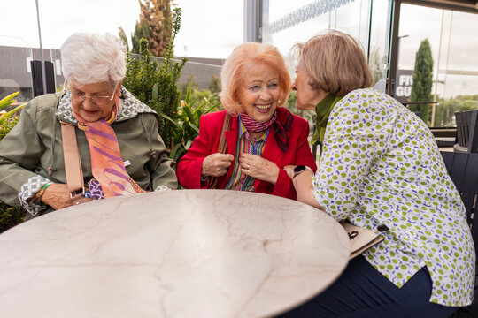 Seniors enjoying leisure time together outdoors