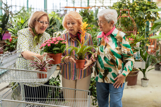 Senior women enjoying a shopping day in the garden center
