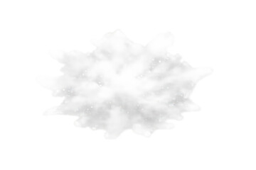 Fototapeta premium White powder explosion creating a dust cloud effect with flying particles on transparent background