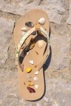 Beach flip-flop with seashells on a rocky surface