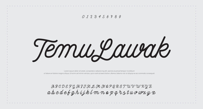 Hand drawn vector alphabet. Modern monoline signature script font. Elegant Signature Font. Best Alphabet Beautiful Calligraphy Signature Font 